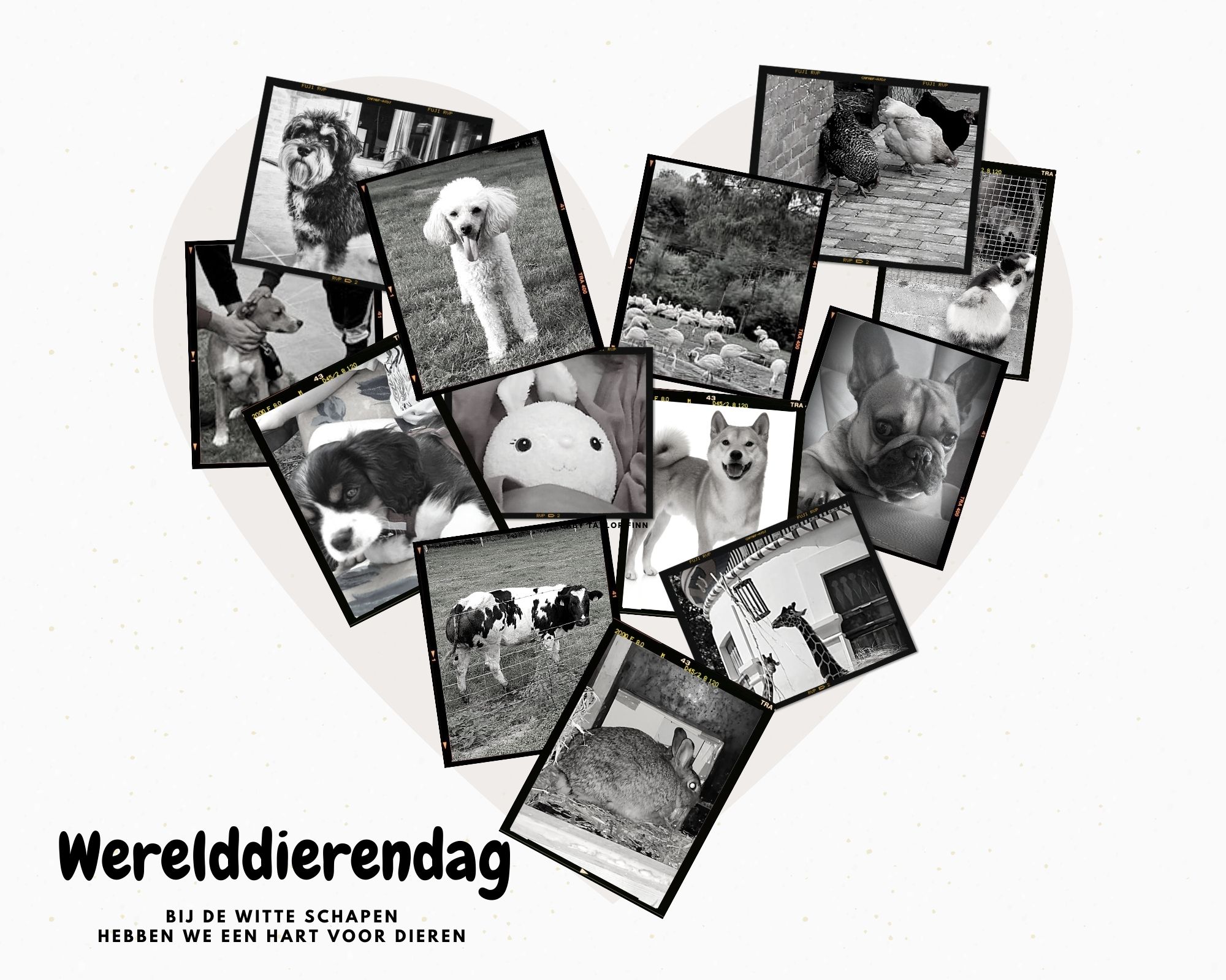 Cream Polaroid Heart Shaped Photo Collage